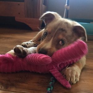 Meet your Posher, Emma